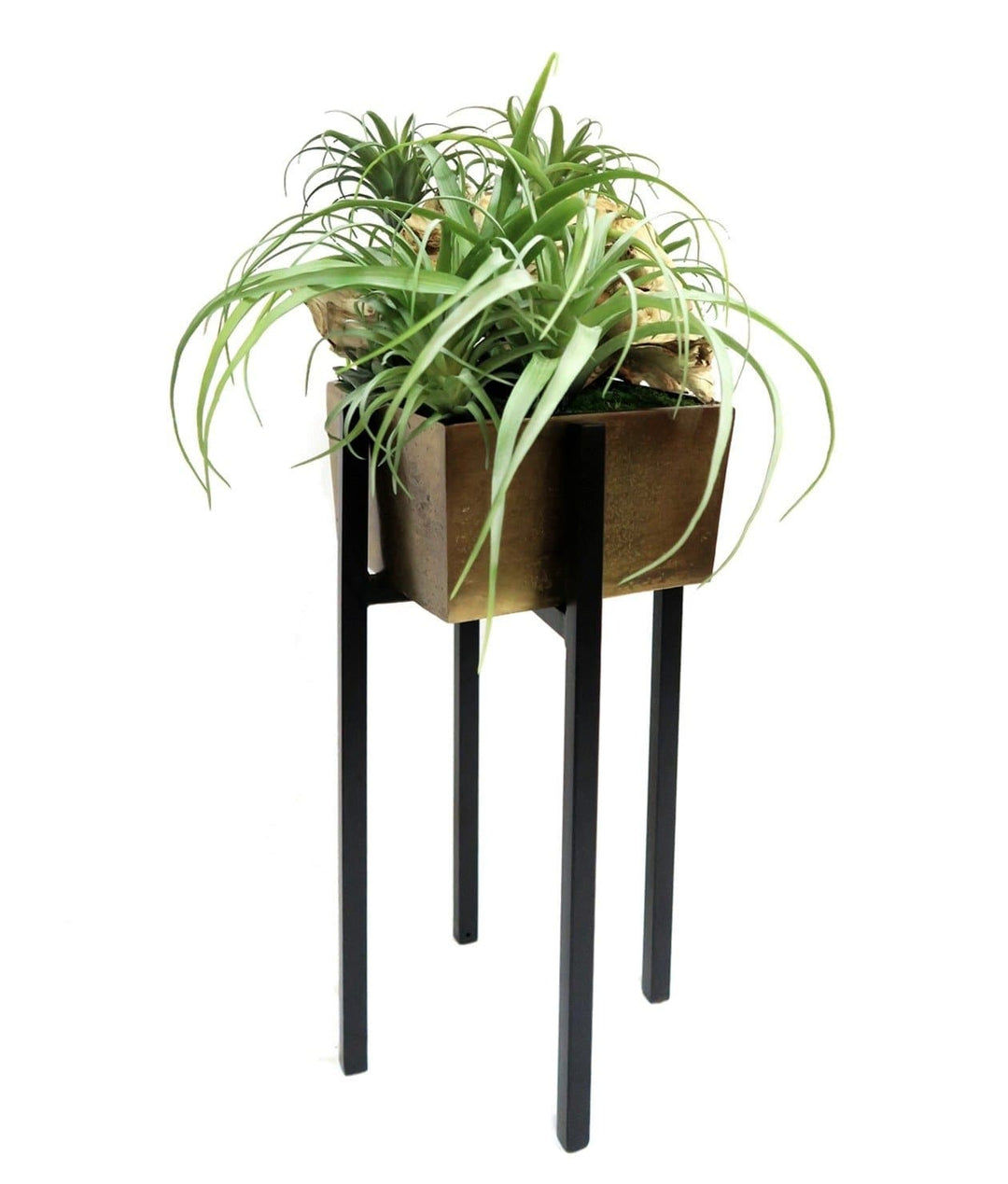 Tillandsia and Wood Remnants in Planter - LDF Silksucculents