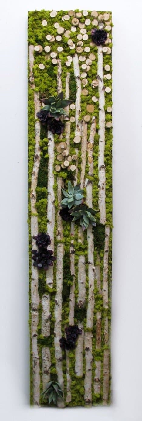 Wall Art Featuring Birch with Succulents and Reindeer Moss in Metal Frame - LDF SilkSucculent