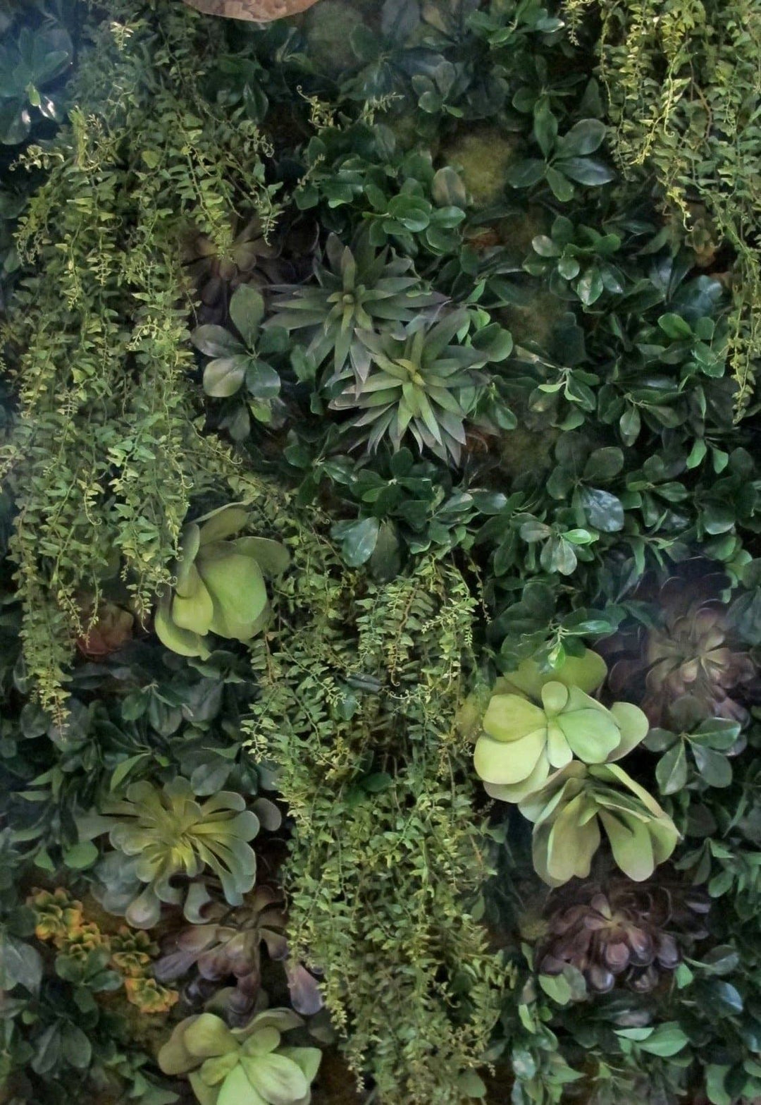 Wall Art Featuring Mixed Greenery and Succulents - LDF SilkHome & Garden