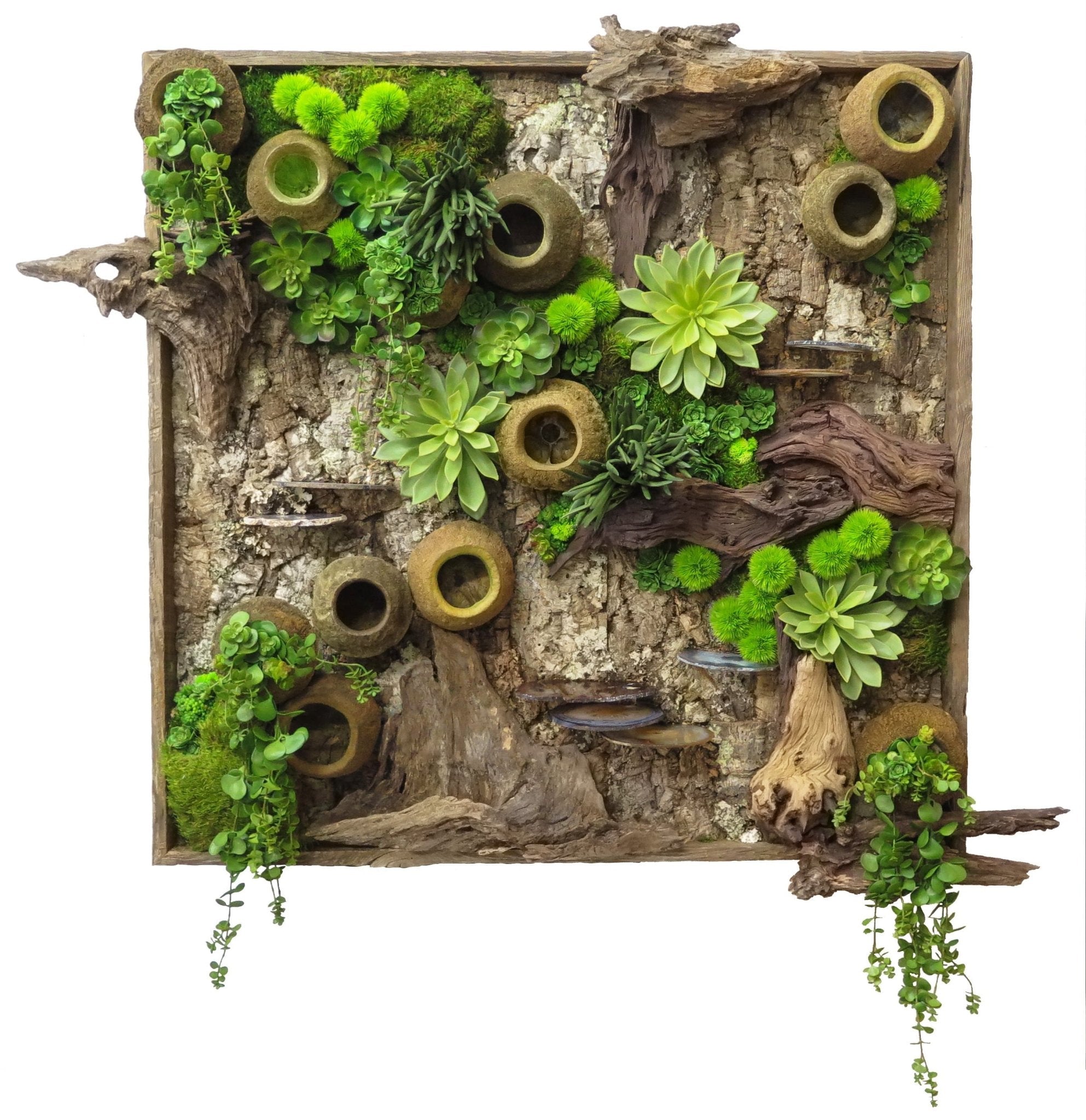 wall decor with succulents Wall Art Featuring Succulents with Agate Slices and Bark in Wood Frame – LDF Silk