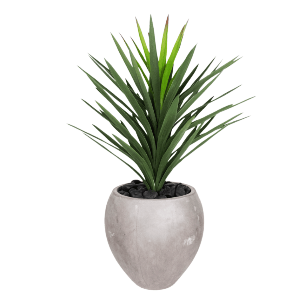 Yucca with River Rocks in Container 42"H - LDF Silkplants