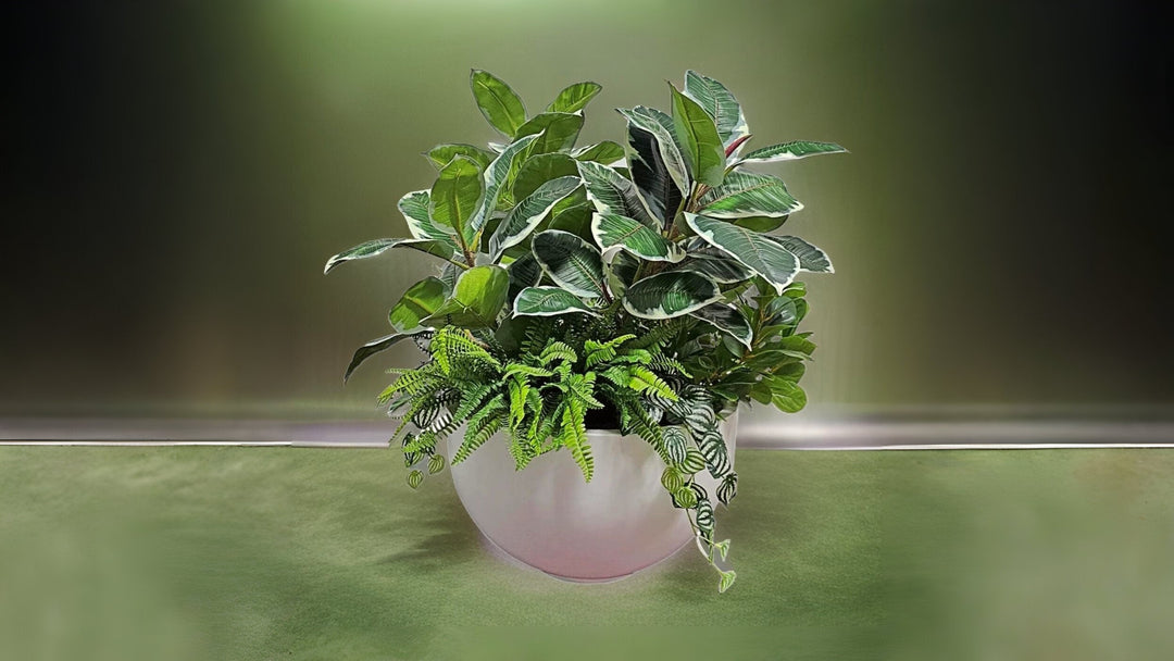 Plants - LDF Silk