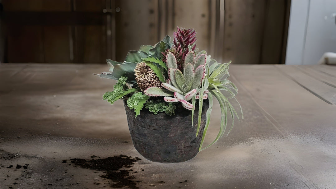 Succulents - LDF Silk