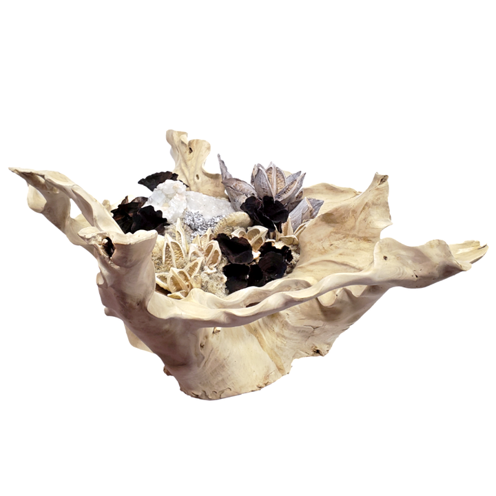 Natural Crystals and Dried Elements in Wooden Root 18"H