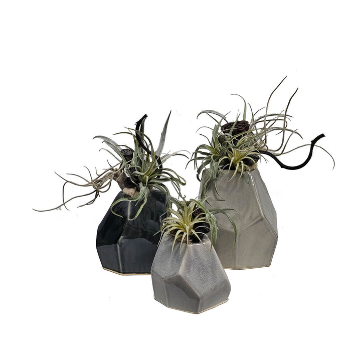 TILLANDSIA WITH DRIED LOTUS PODS IN CERAMIC. 10"H