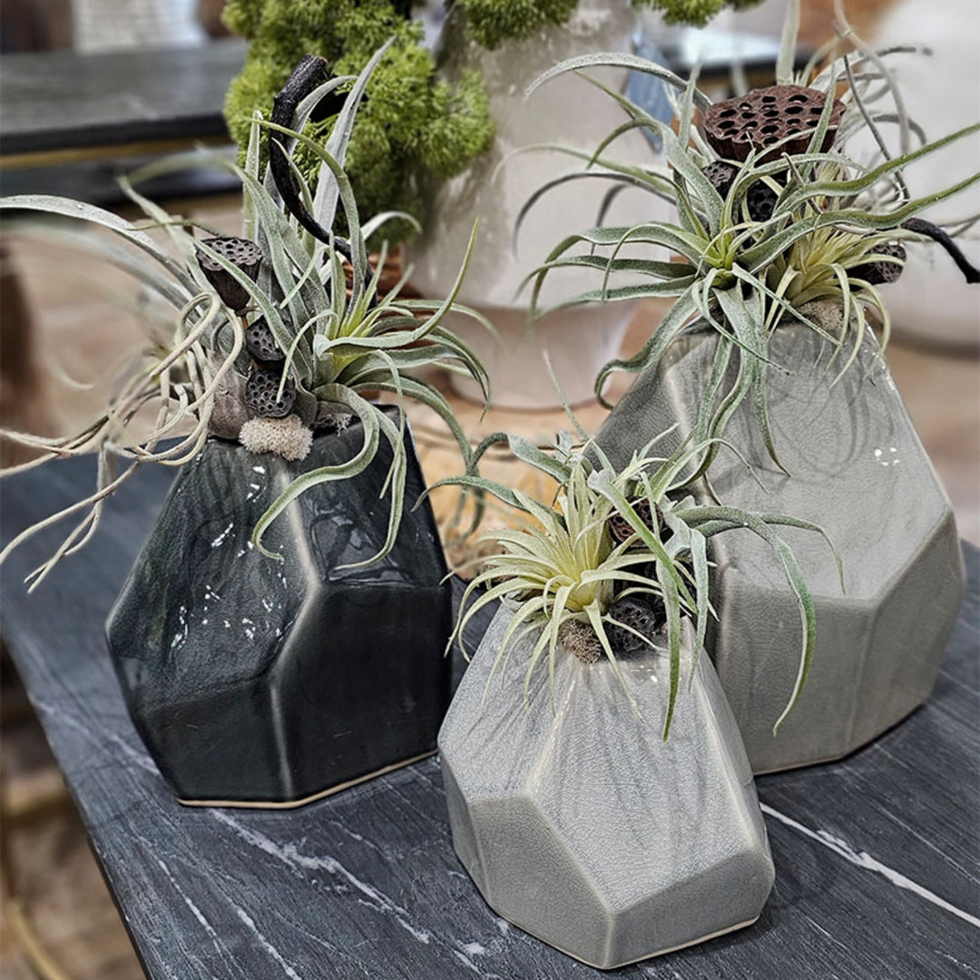 TILLANDSIA WITH DRIED LOTUS PODS IN CERAMIC. 10"H