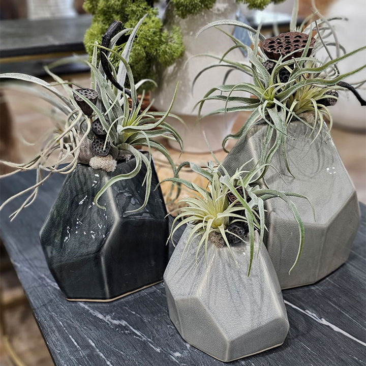 TILLANDSIA WITH DRIED LOTUS PODS IN CERAMIC. 10"H