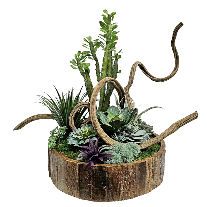 Cactus, Curly Vine and Succulents in Bowl FH: 28"H