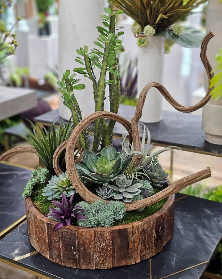 Cactus, Curly Vine and Succulents in Bowl FH: 28"H