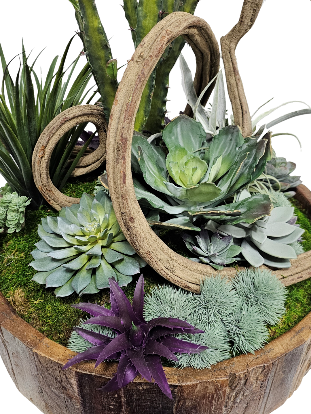 Cactus, Curly Vine and Succulents in Bowl FH: 28"H