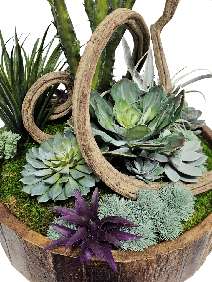 Cactus, Curly Vine and Succulents in Bowl FH: 28"H
