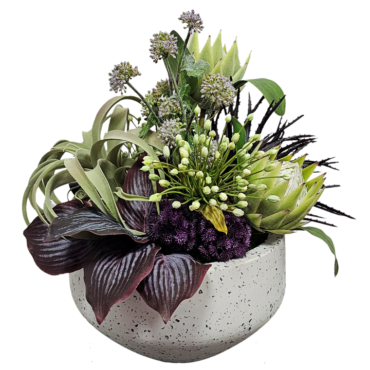 Queen Protea, Tillandsia, Allium and Aloe in Terrazzo Bowl.  20"H