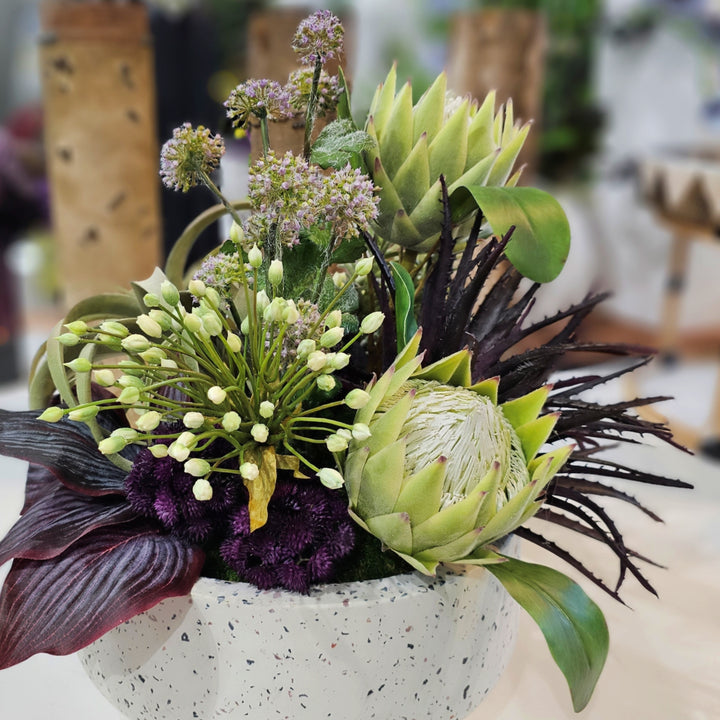 Queen Protea, Tillandsia, Allium and Aloe in Terrazzo Bowl.  20"H