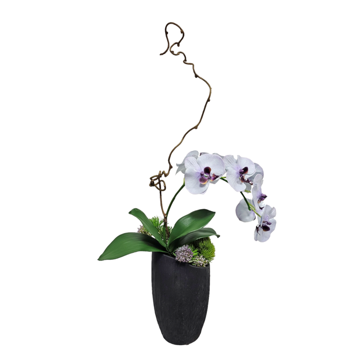 Phalaenopsis Orchid with Allium in Asymmetrical Textured Ceramic Vase.  FH: 30"H