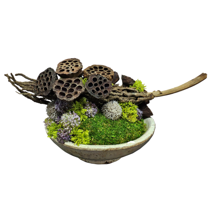 Dried Coco Jhar and Lotus Pods with Allium in Glazed Ceramic Bowl.  FH: 9.5"H