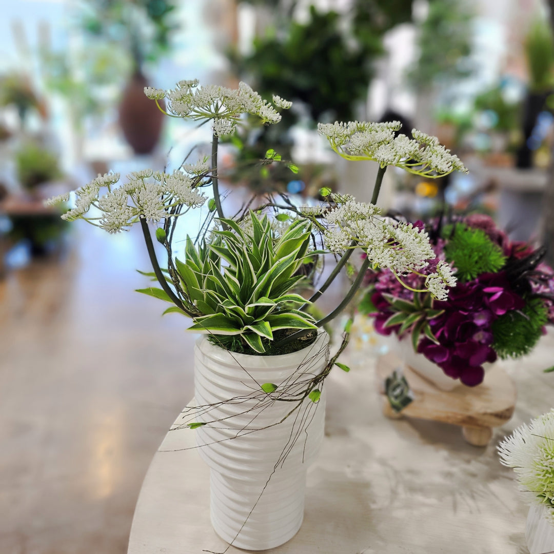 Queen Anne's Lace with Succulents and Vine in Ceramic Vase. FH: 25"H