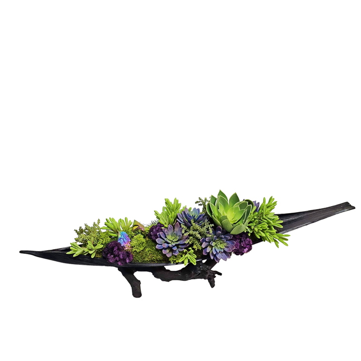 Rainbow Amethyst Crystals with Mixed Purple and Green Succulents in Black Coco Palm Boat on Grapewood Stand.  12.5"H
