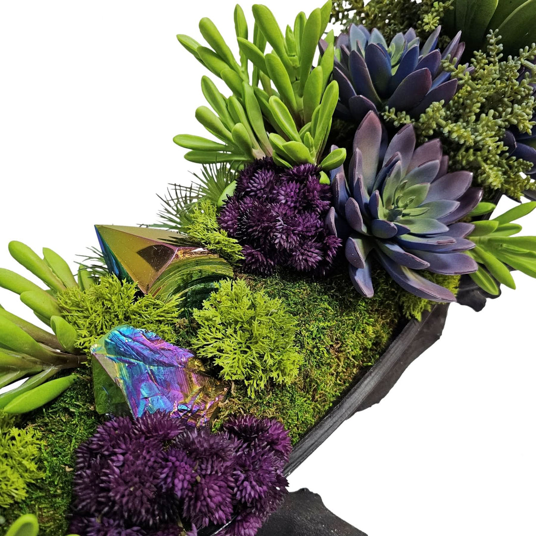 Rainbow Amethyst Crystals with Mixed Purple and Green Succulents in Black Coco Palm Boat on Grapewood Stand.  12.5"H