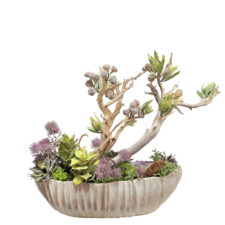 Amethyst, Manzanita, Figs, Protea, Succulents and Allium in Oval 33"H