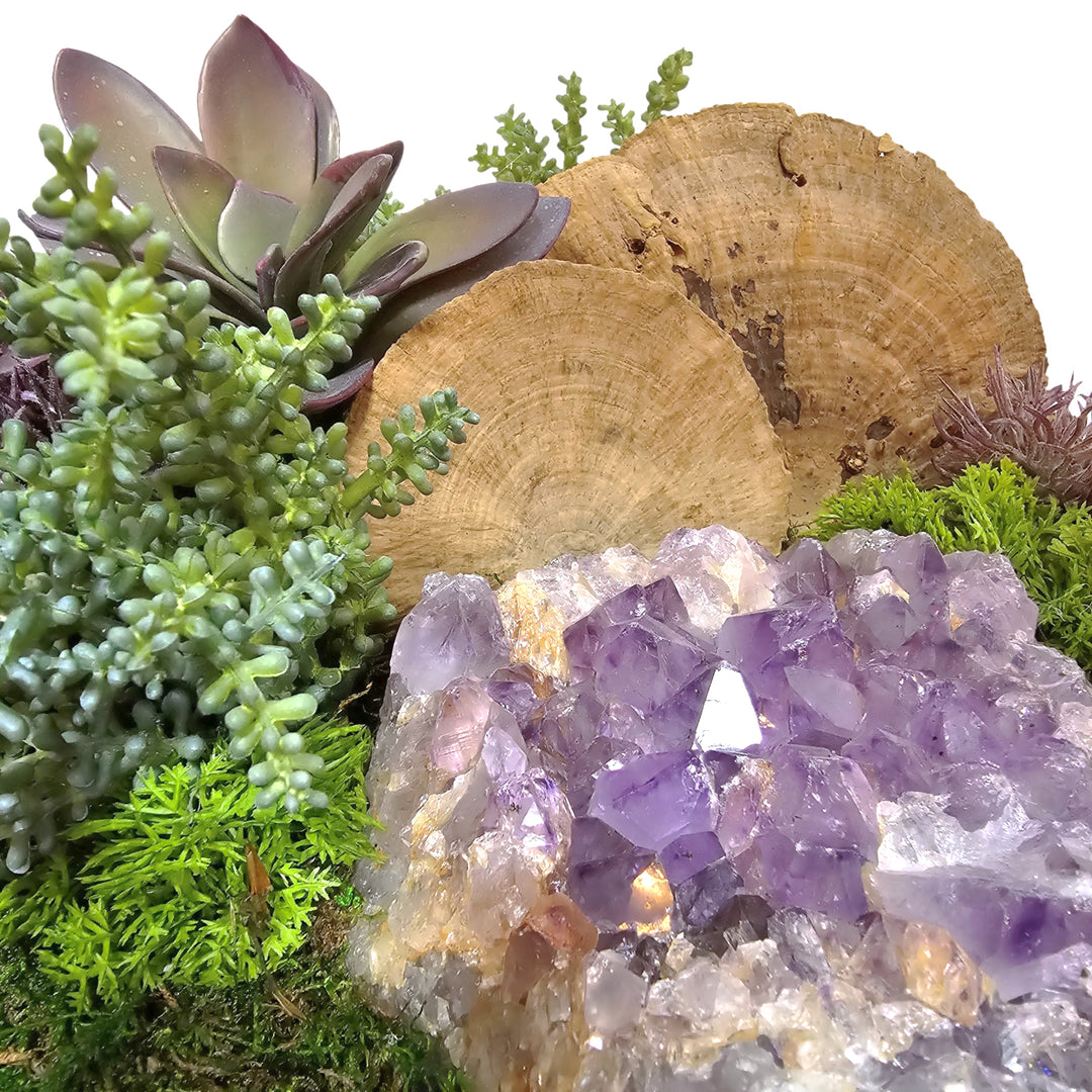 Amethyst, Manzanita, Figs, Protea, Succulents and Allium in Oval 33"H