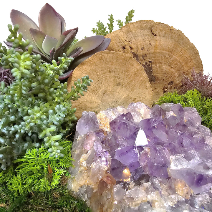 Amethyst, Manzanita, Figs, Protea, Succulents and Allium in Oval 33"H