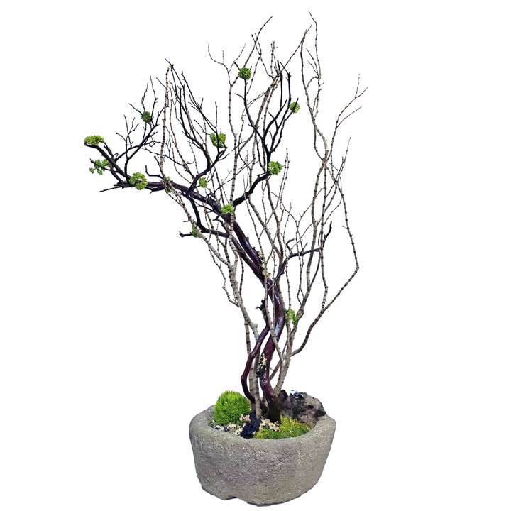 Natural Manzanita and Tiger Wood Branches with Specimen Crystal in Carved Stone Container 48"H