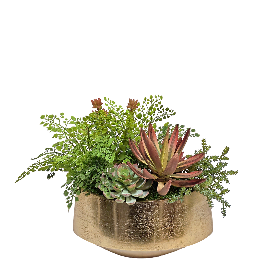 Succulents with Maindenhair Fern in Metal Container 13"H