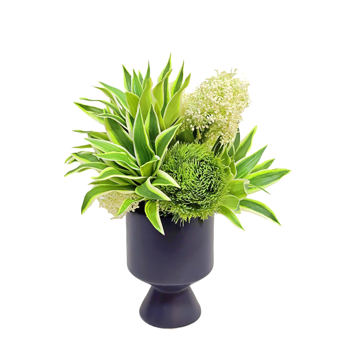 Tradescantia, Skimmia Spray, and Dinathus in Metal Pot. 13"H