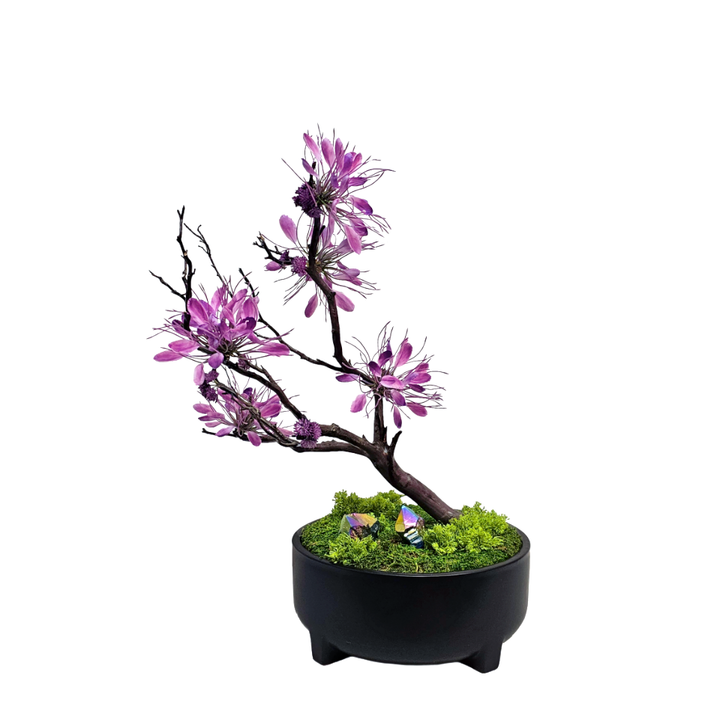 Cleome Spinosa Blossoms on Natural Manzanita with Moss and Crystals in Ceramic Bowl 26"H