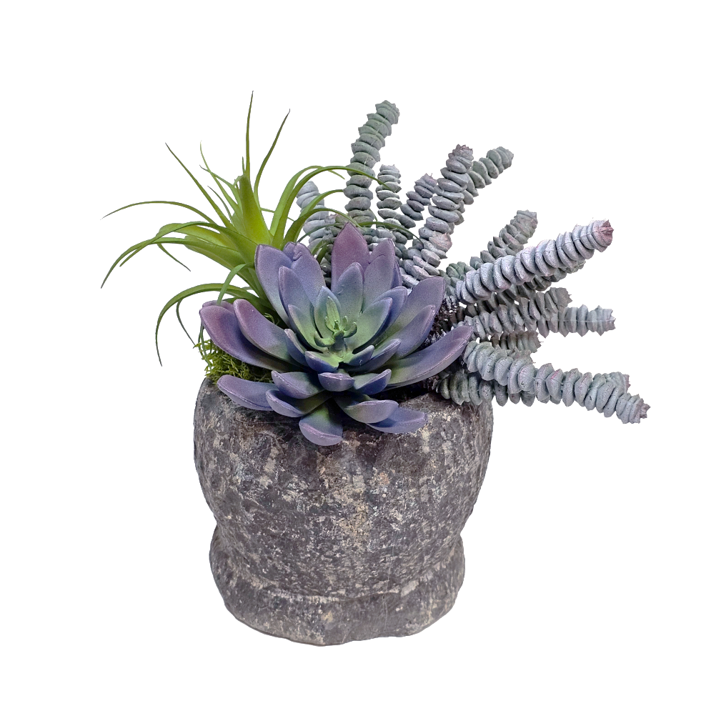 Succulent, Donkey Tail and Tillandsia in Carved Stone 9"H