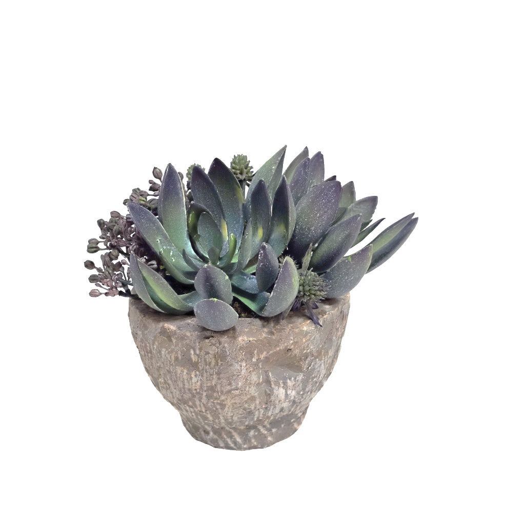 Succulents with Berries in Carved Stone 7"H