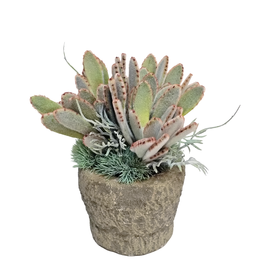 Panda Succulent and Fern in Carved Stone 9.5"