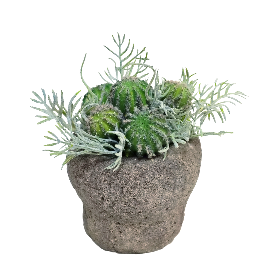 Barrel Cactus with Fern in Carved Stone  8.5"H