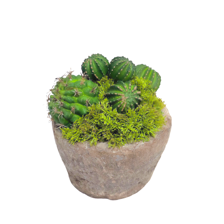 Barrel Cactus in Aged Stone 7"H