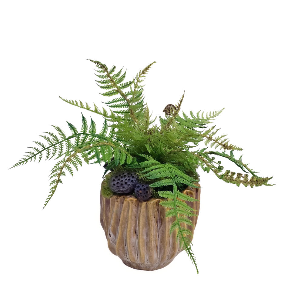 Fern with Dried Lotus Pods in Ribbed Ceramic 11.5"H
