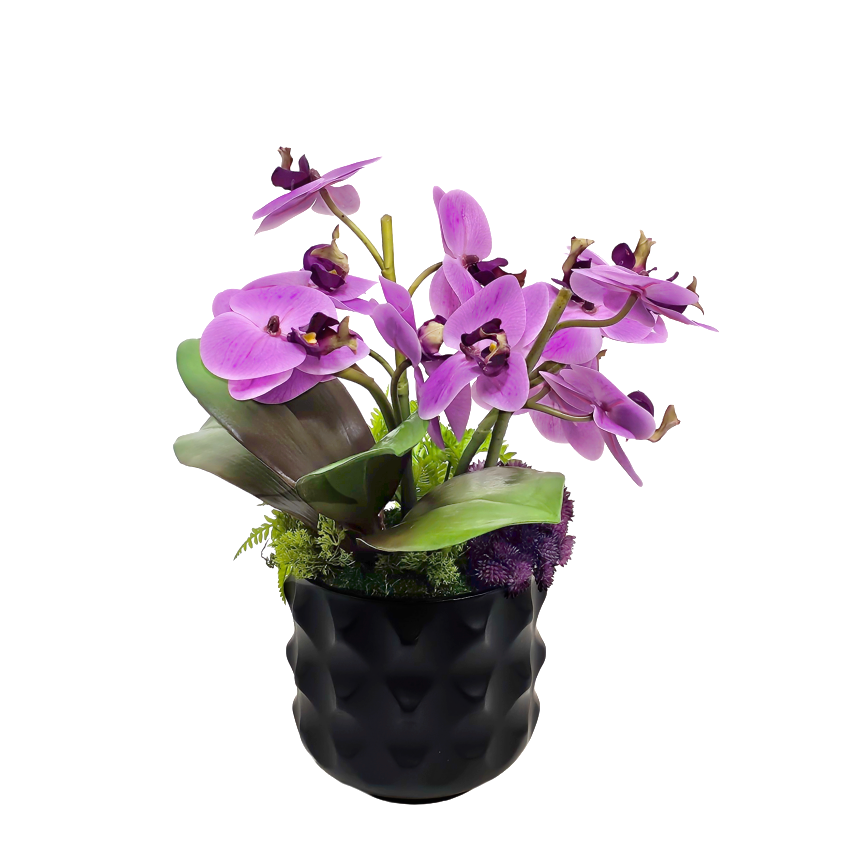 Orchids, Sedum and Fern in Faceted Ceramic 16"H X 14"DIA
