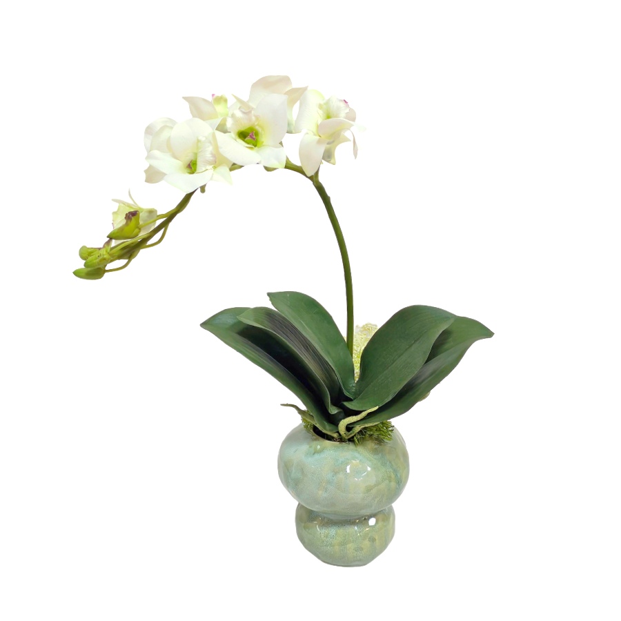 Orchid with Skimmia and Leaf in Glazed Ceramic 17"H X 12"W X 9"D