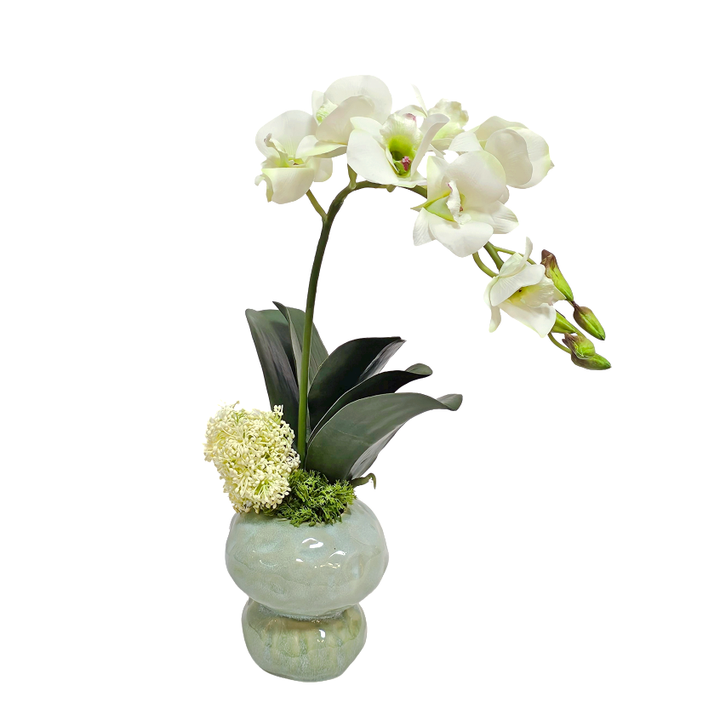 Orchid with Skimmia and Leaf in Glazed Ceramic 17"H X 12"W X 9"D