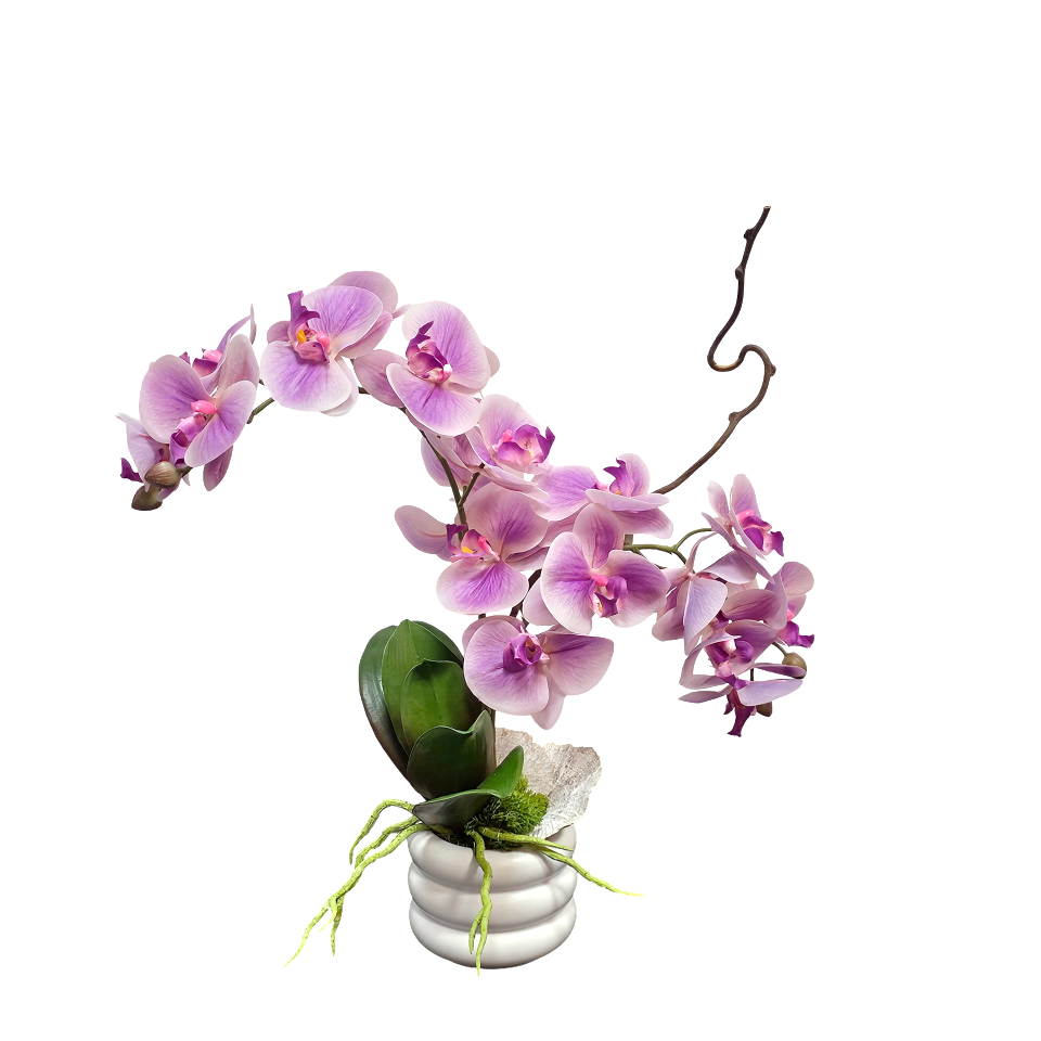Orchids with Mushrooms and Leaves in Ceramic 19"H X 20"W X 10"D