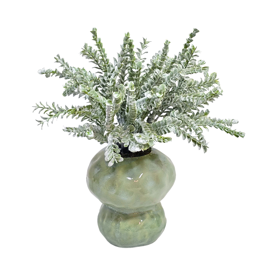 Clubmoss in Vase 10"H X 11"DIA