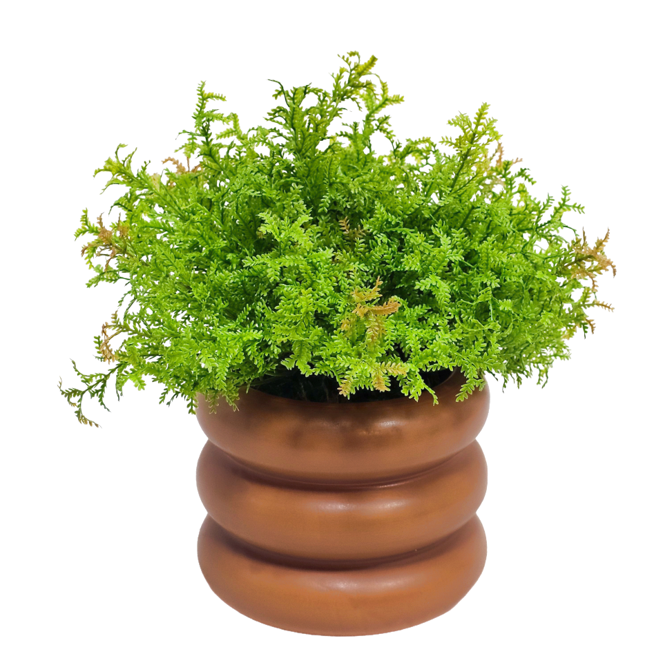 Reindeer Moss in Ceramic Pot 8"H X 8"DIA