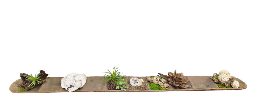 Antique Oblong Spice Tray with Geode, Star Pod, Natural Fiber Spheres, Driftwood and Succulents 9"H X 78"W X 10"D