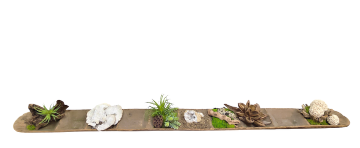 Antique Oblong Spice Tray with Geode, Star Pod, Natural Fiber Spheres, Driftwood and Succulents 9"H X 78"W X 10"D
