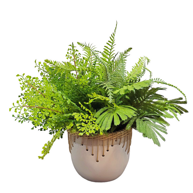 Mixed Ferns in Ceramic with Natural Rope Trim 21"H x 24" W x 21"D