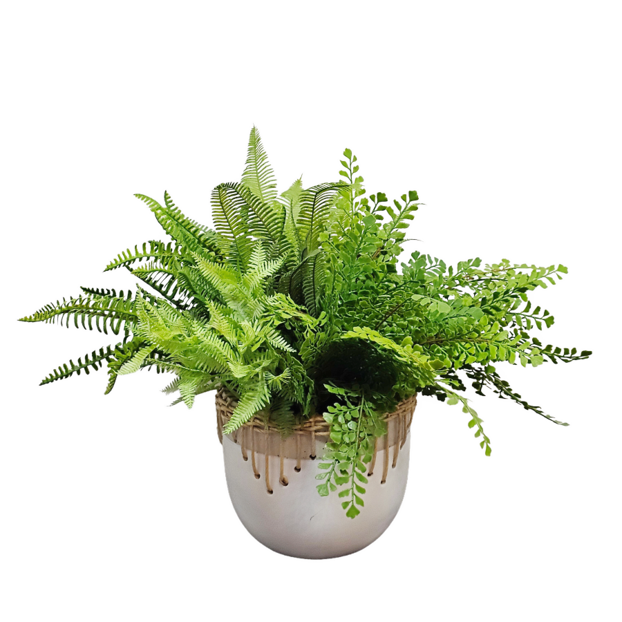 Mixed Ferns in Ceramic with Natural Rope Trim 17"H x 23"W x 19"D