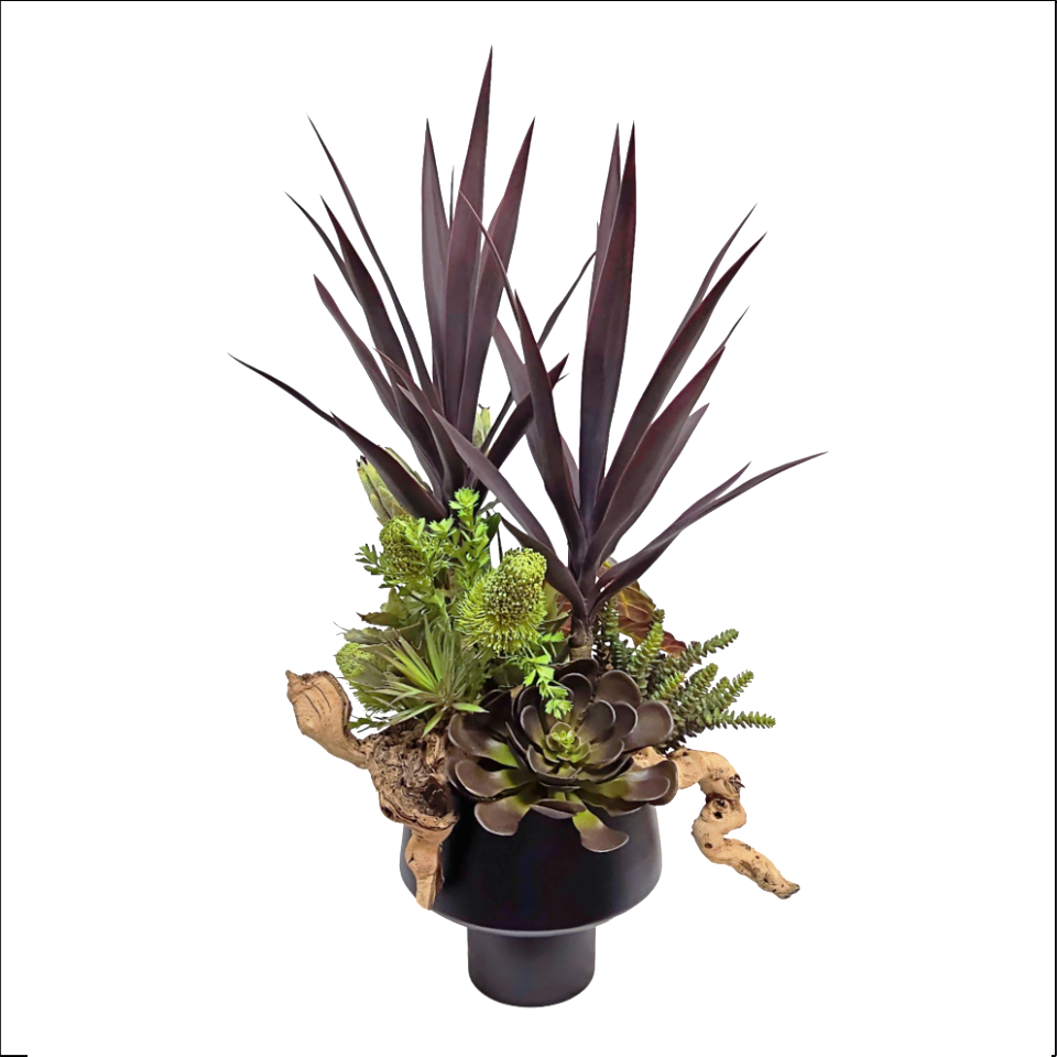 Yucca, Banksia, Agave, Protea, Mixed Succulents, Grape wood, Elephant Ear Bush, and Aloe in Cachepot 40"H x 26"W x 20"D