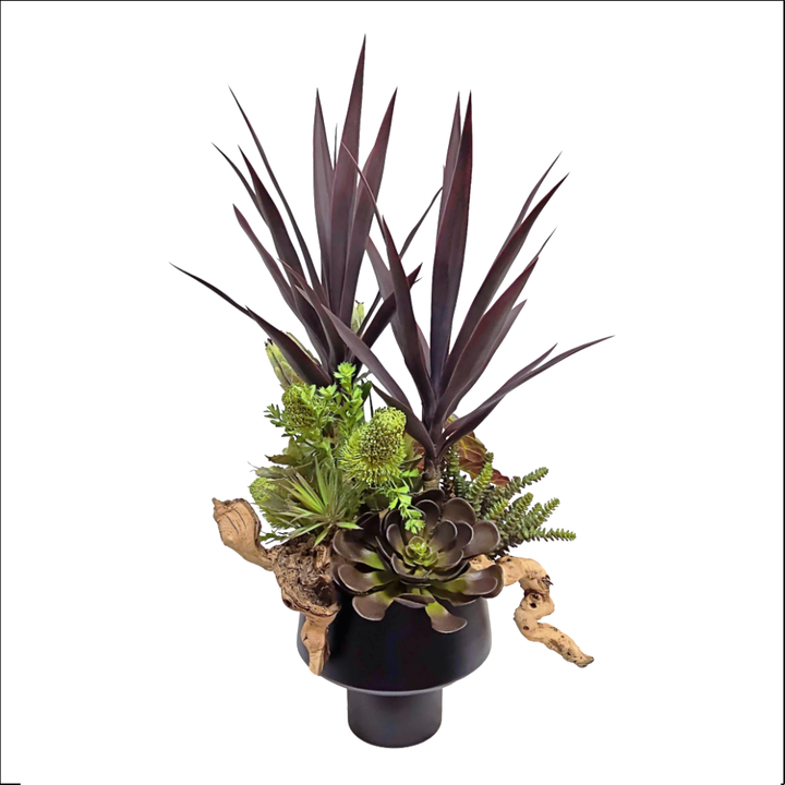 Yucca, Banksia, Agave, Protea, Mixed Succulents, Grape wood, Elephant Ear Bush, and Aloe in Cachepot 40"H x 26"W x 20"D