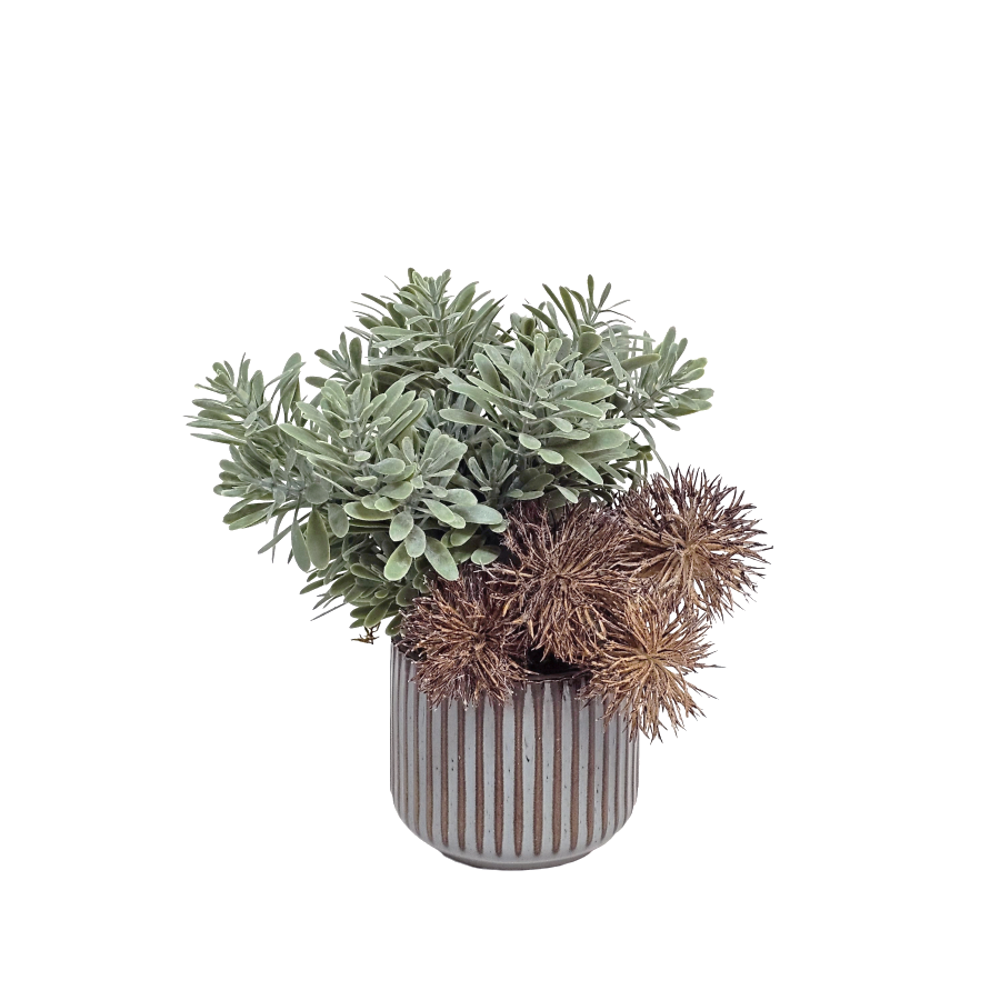 Succulent Grass and Thistle in Ceramic Pot 6.5"H x 6.5"Dia