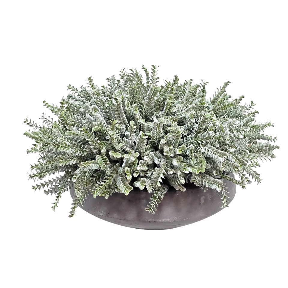 Clubmosses made into Concrete Bowl 12"H x 19"Dia
