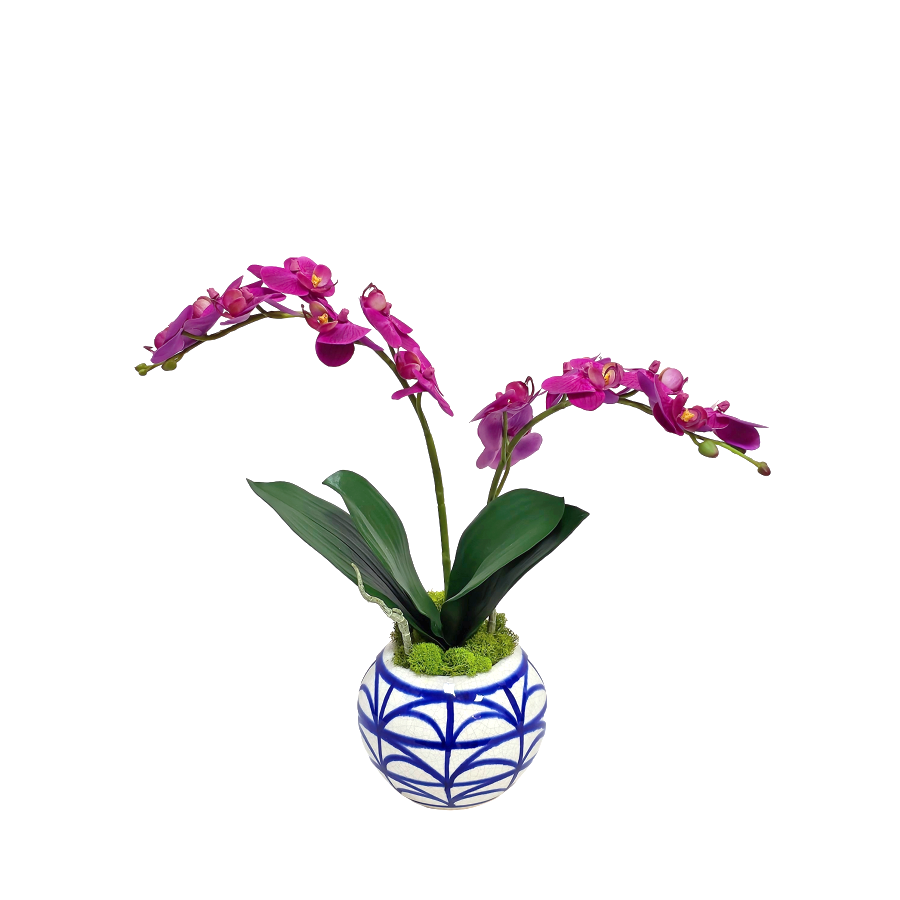 Orchid and Orchid Leaves made in Pot 15"H x 17"W x 7"D